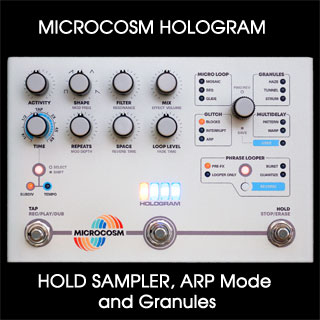 3 Creative Features Of The Hologram Microcosm: Hold Sampler, Arp Mode,  Granules | Delicious Audio
