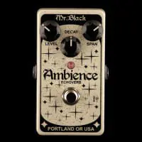 New Pedals: Mr. Black Ambience Echoverb
