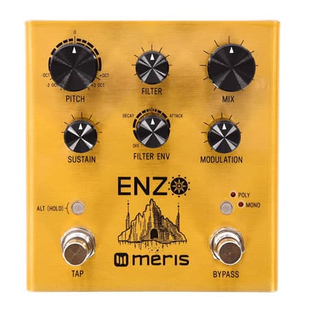 Meris Enzo Synth Pedal | Delicious Audio