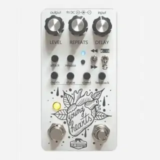 Polarbear Effects Young Hearts Creative Delay