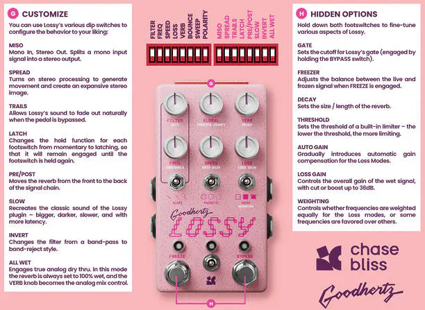 Chase Bliss Lossy Back Panel Control Explanation